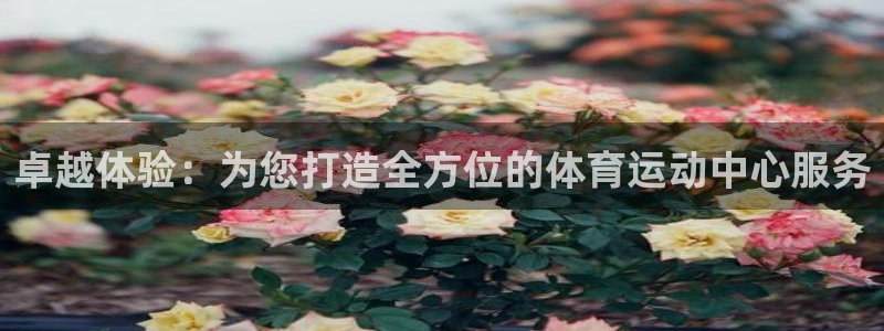 卓越体验：为您打造全方位的体育运动中心服务