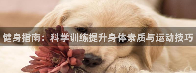 健身指南：科学训练提升身体素质与运动技巧