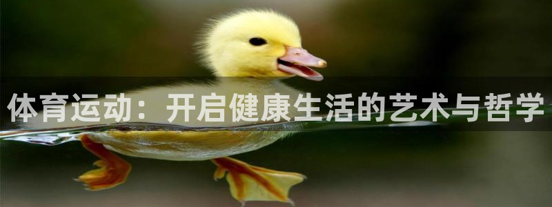 体育运动：开启健康生活的艺术与哲学