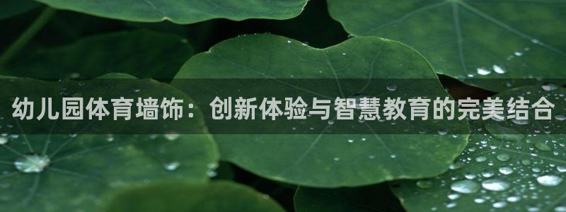 幼儿园体育墙饰：创新体验与智慧教育的完美结合