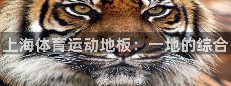 上海体育运动地板：一地的综合