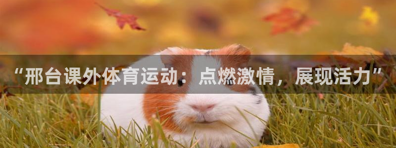 “邢台课外体育运动：点燃激情，展现活力”