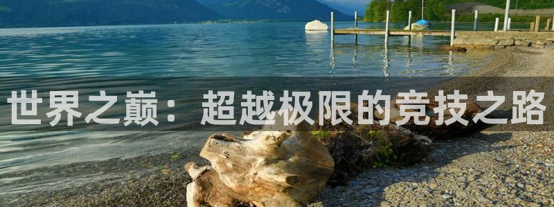 世界之巅：超越极限的竞技之路