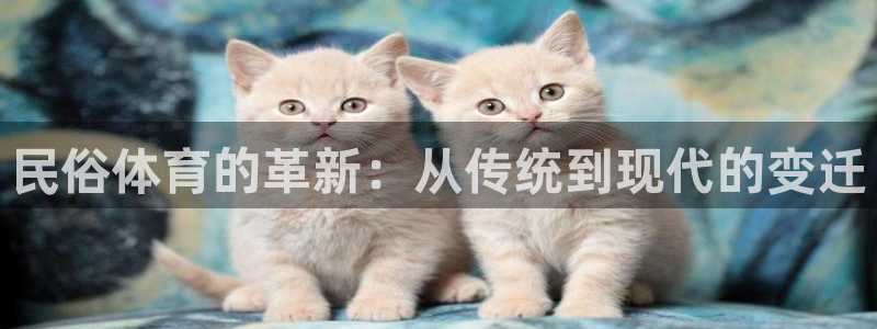 民俗体育的革新：从传统到现代的变迁