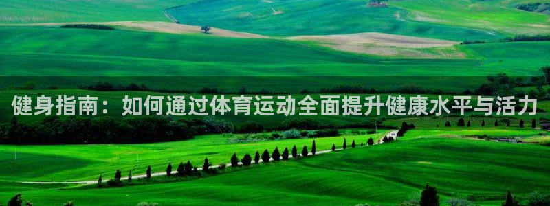健身指南：如何通过体育运动全面提升健康水平与活力