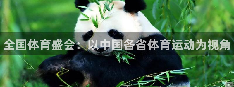 全国体育盛会：以中国各省体育运动为视角