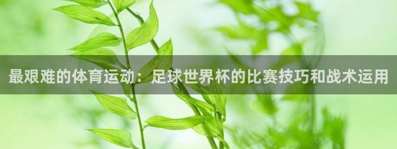 最艰难的体育运动：足球世界杯的比赛技巧和战术运用