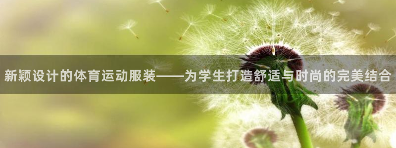 新颖设计的体育运动服装——为学生打造舒适与时尚的完美结合