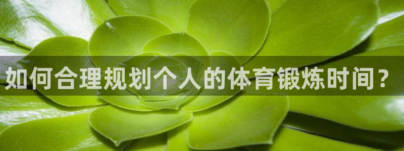 如何合理规划个人的体育锻炼时间？