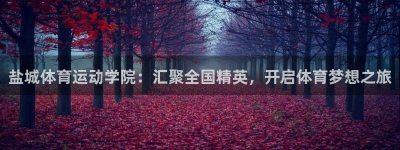盐城体育运动学院：汇聚全国精英，开启体育梦想之旅