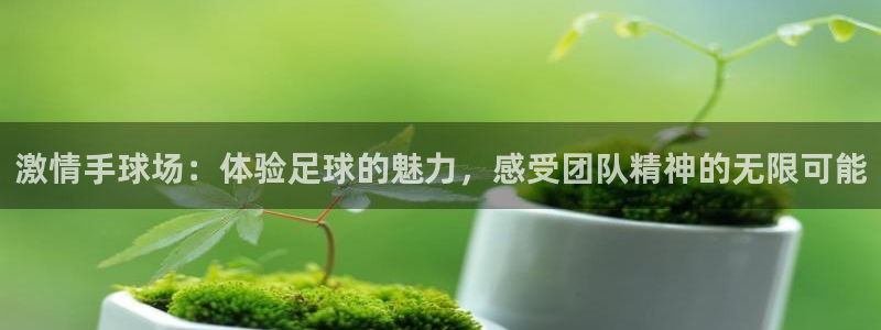 激情手球场：体验足球的魅力，感受团队精神的无限可能