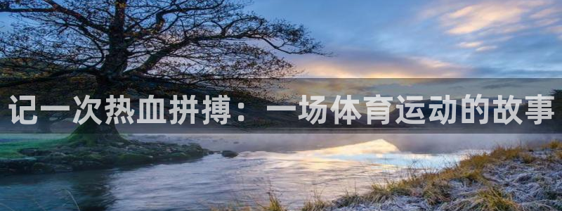 记一次热血拼搏：一场体育运动的故事