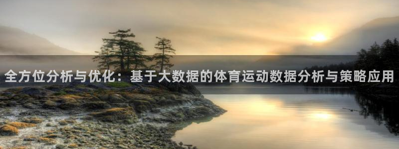 全方位分析与优化：基于大数据的体育运动数据分析与策略应用