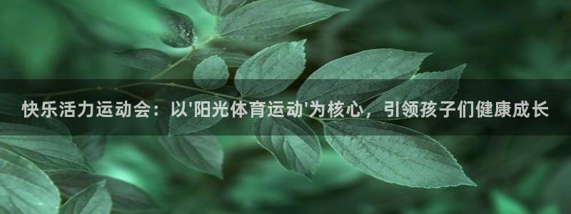 快乐活力运动会：以\'阳光体育运动\'为核心，引领孩子们健康成长