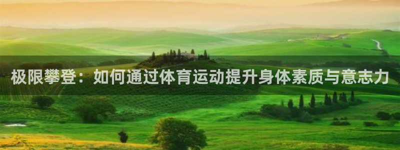 极限攀登：如何通过体育运动提升身体素质与意志力