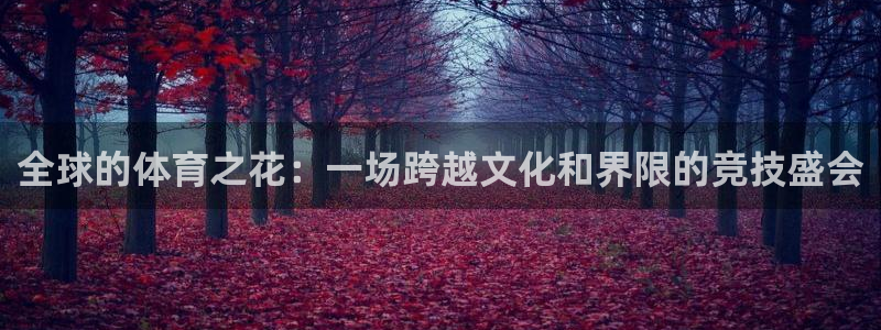 全球的体育之花：一场跨越文化和界限的竞技盛会