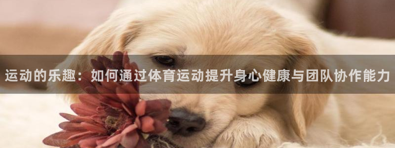 运动的乐趣：如何通过体育运动提升身心健康与团队协作能力