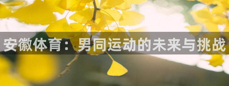 安徽体育：男同运动的未来与挑战